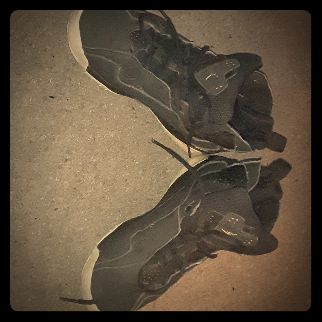 Jays